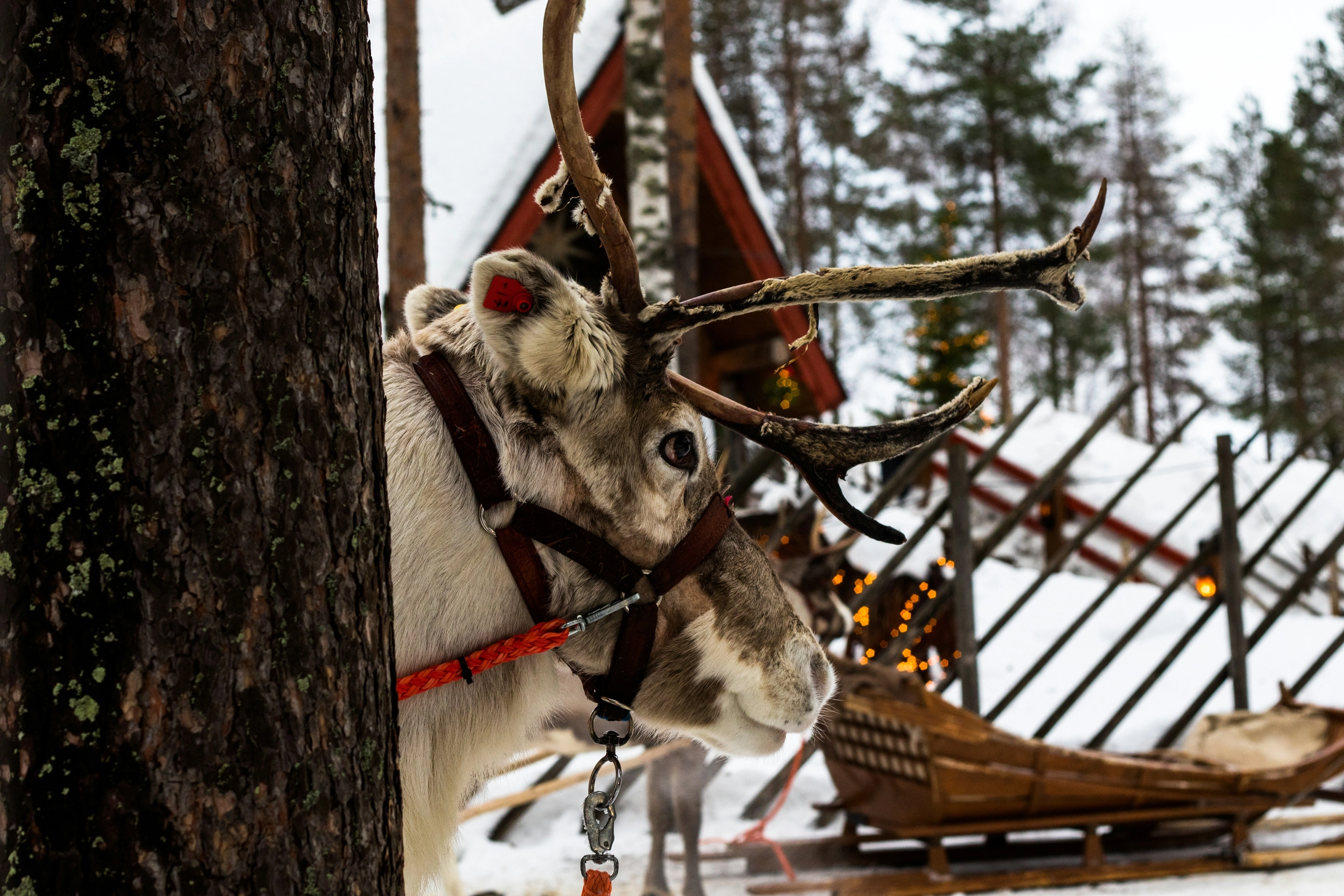Rovaniemi, Finlande