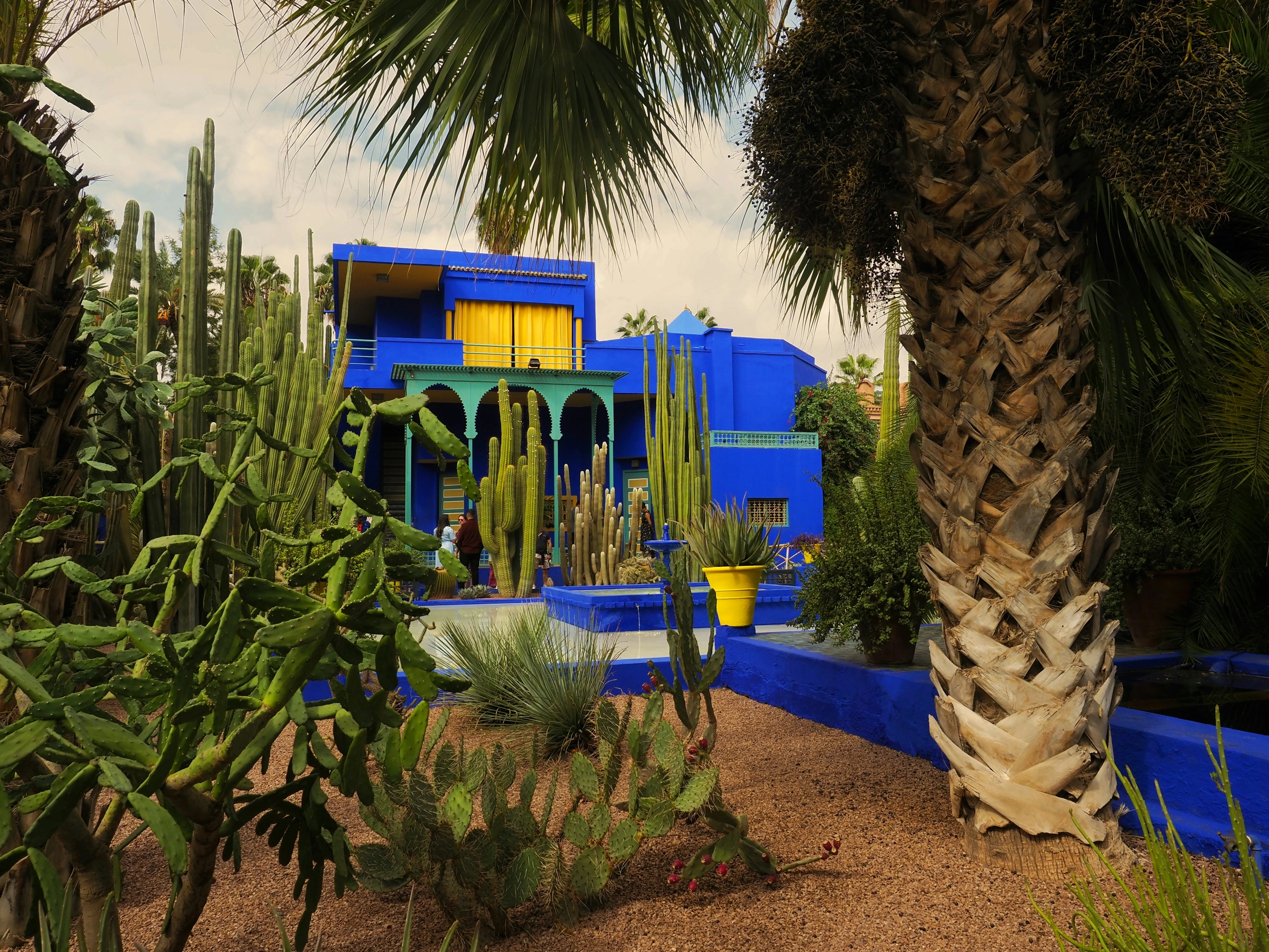 Villa bleu cobalt entourée de cactus dans le jardin Majorelle, Marrakech