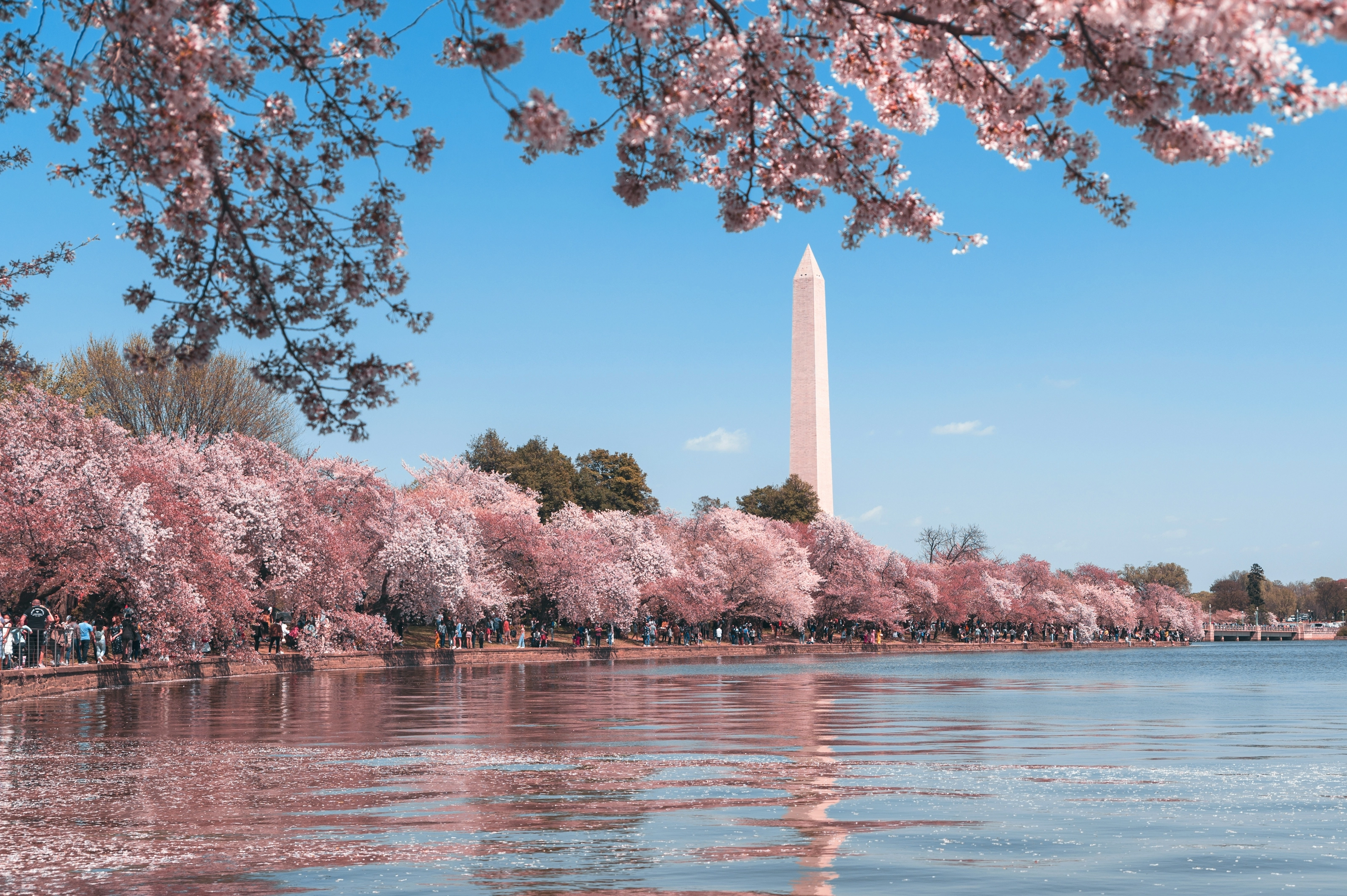Washington D.C., États-Unis