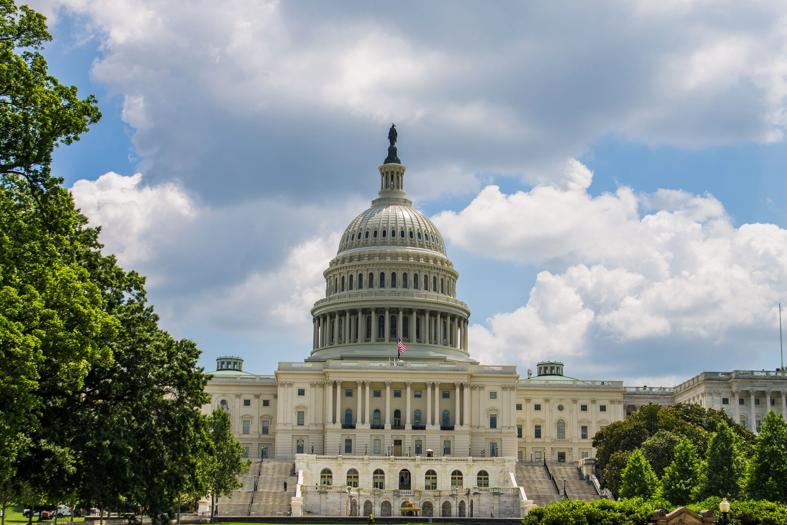 Capitole des États-Unis entouré de verdure