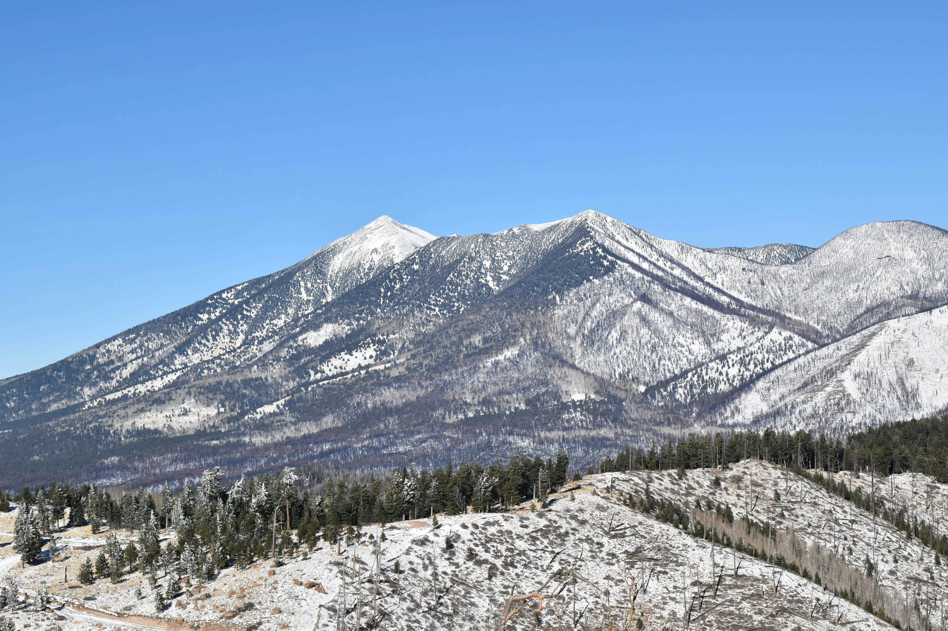 San Francisco Peaks enneigés au-dessus de Flagstaff, Arizona
