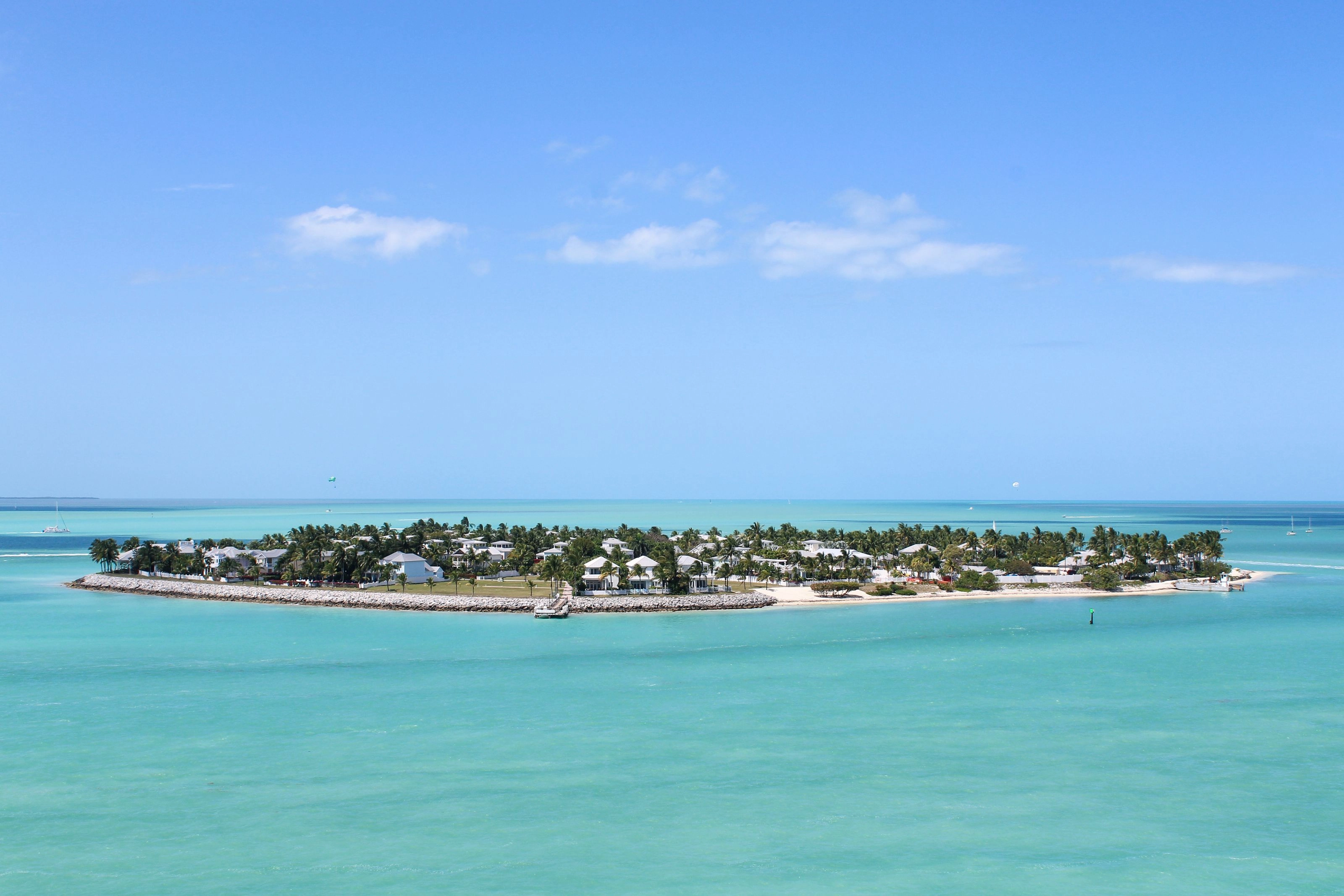 Palmiers sur une plage de sable blanc à Key West