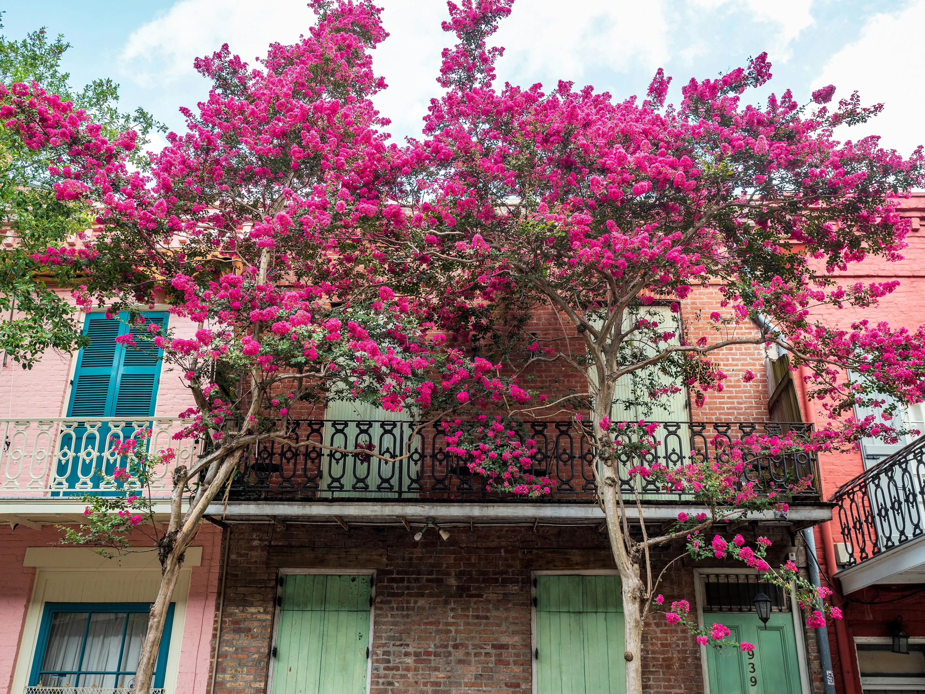 Balcon fleuri en fer forgé dans le French Quarter, La Nouvelle-Orléans